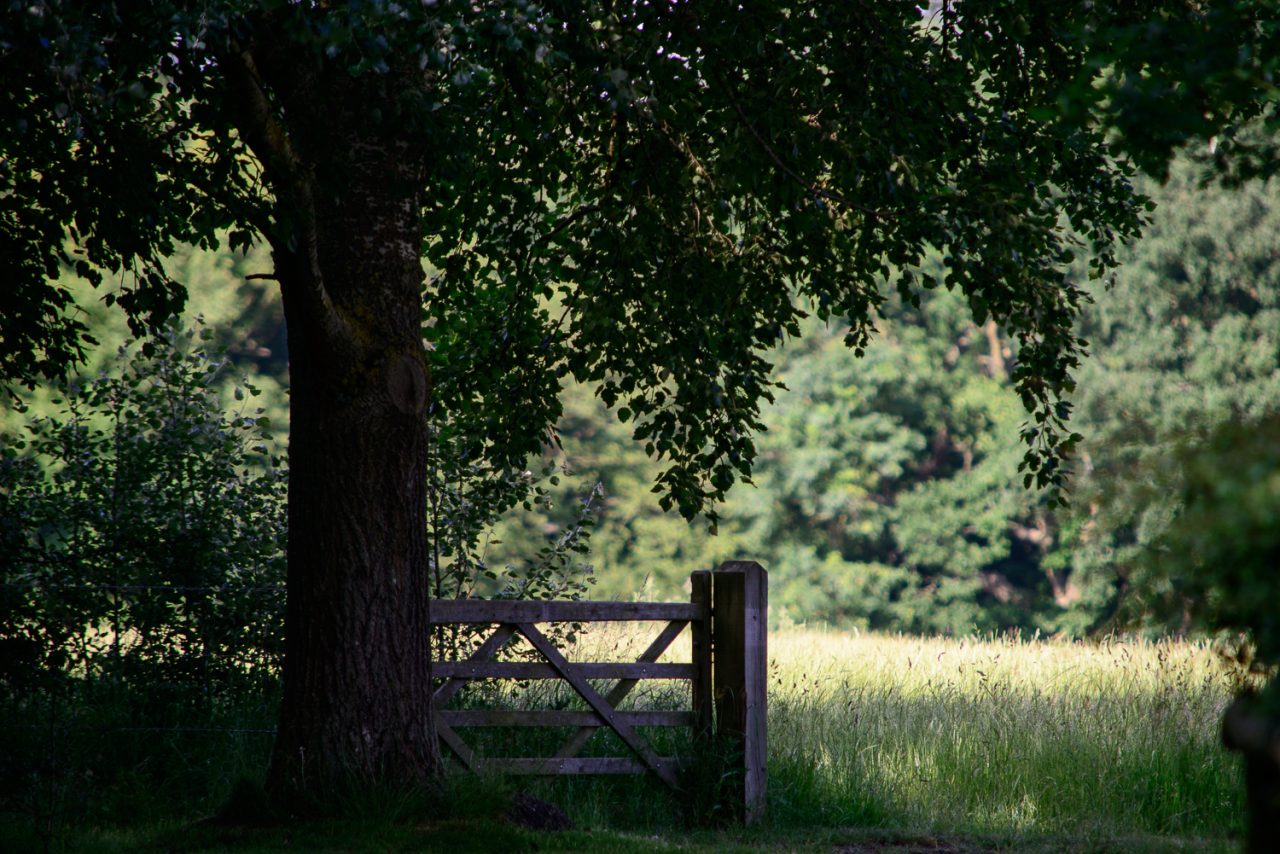 A Gate to Nowhere