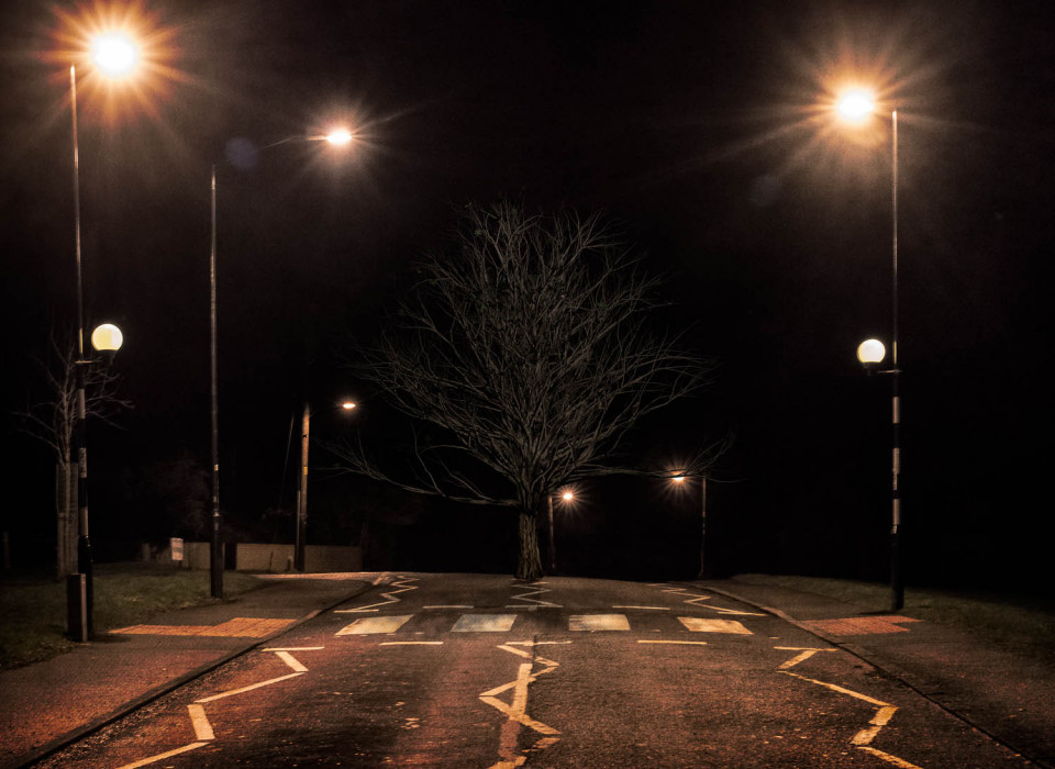 Rogue Tree