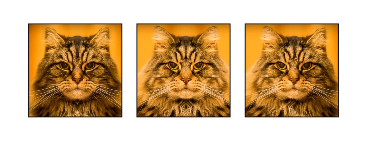 Elijah Asymmetric Triptych
