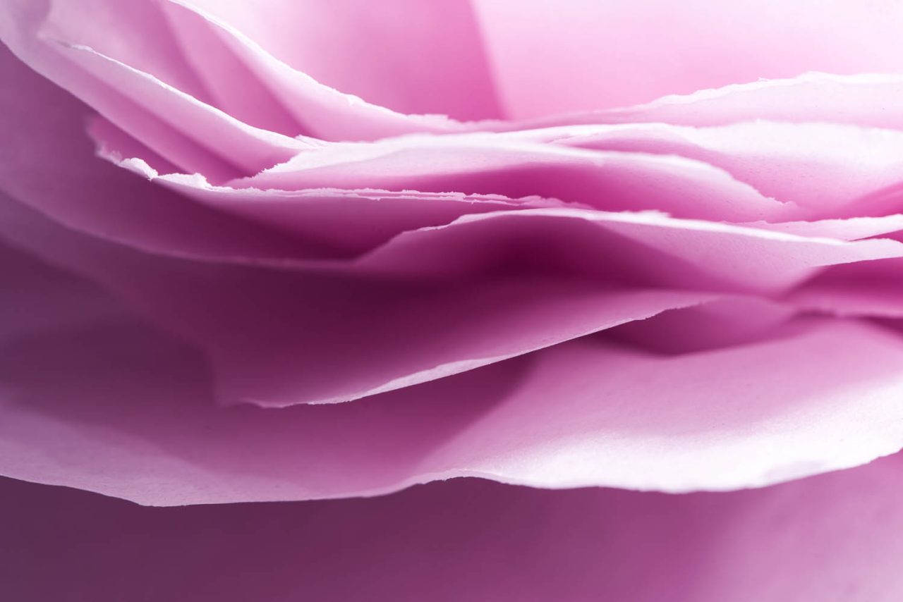 Paper Petals