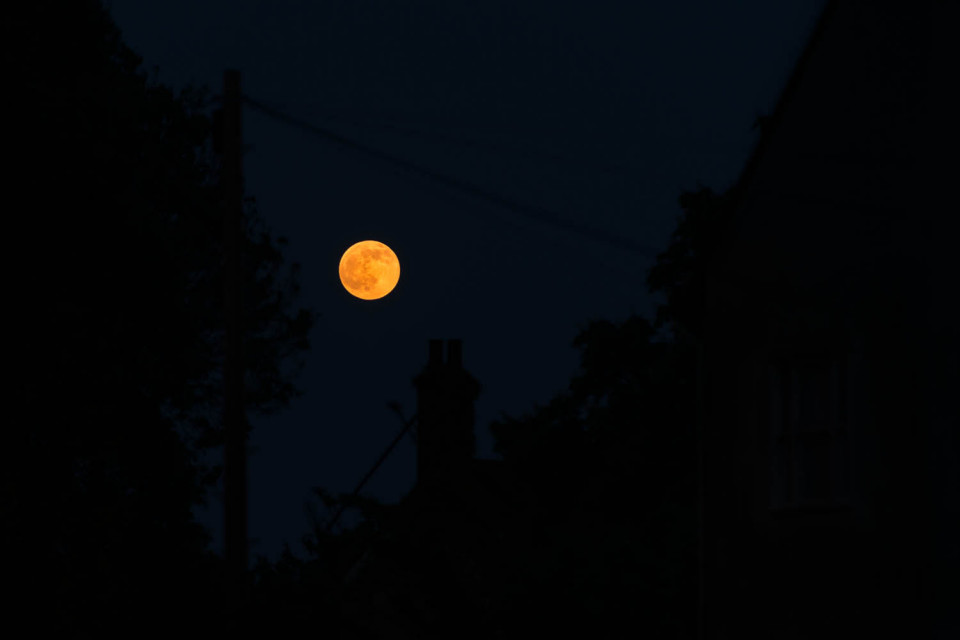 It's Made from Double Gloucester