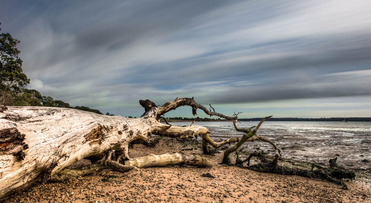 A Bit More Than Driftwood