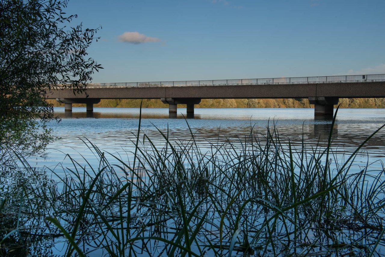 From The Reeds
