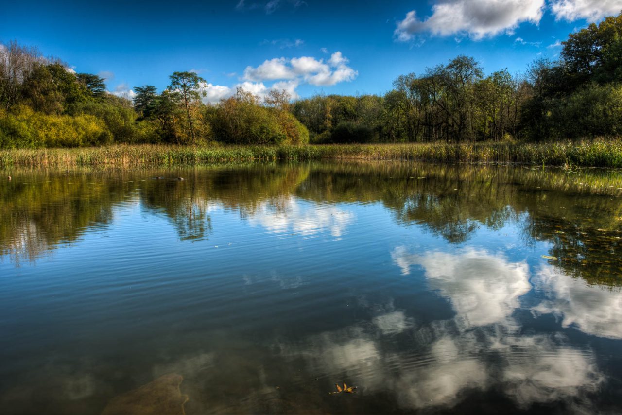 Reflected Ripples