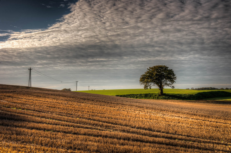 Curvacious Landscape