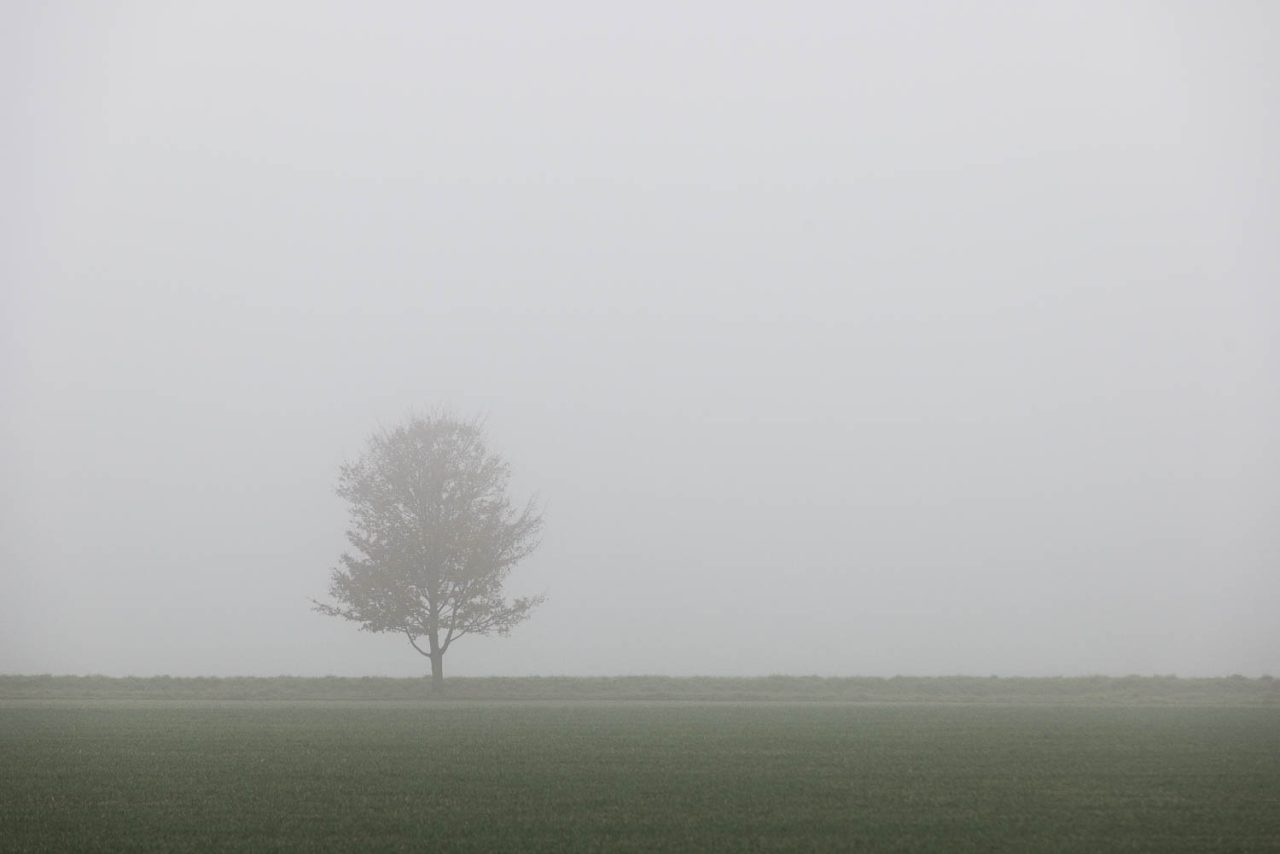 Dull, Dull, Dull