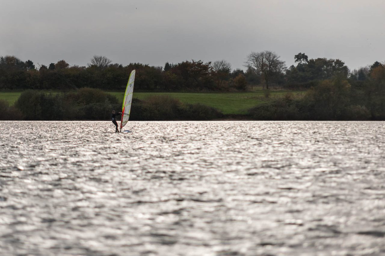 Windsurfer