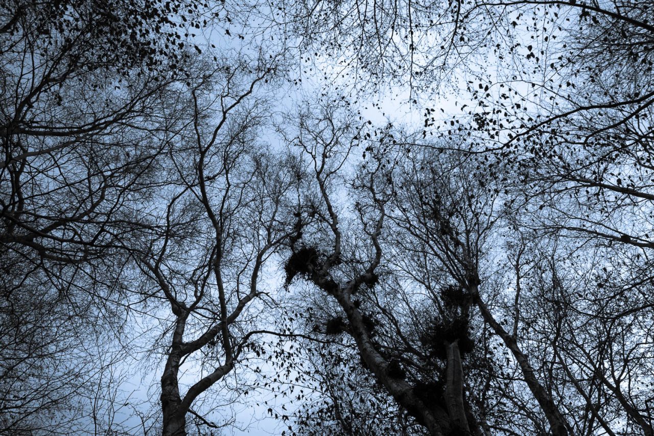 Winters Coming II
