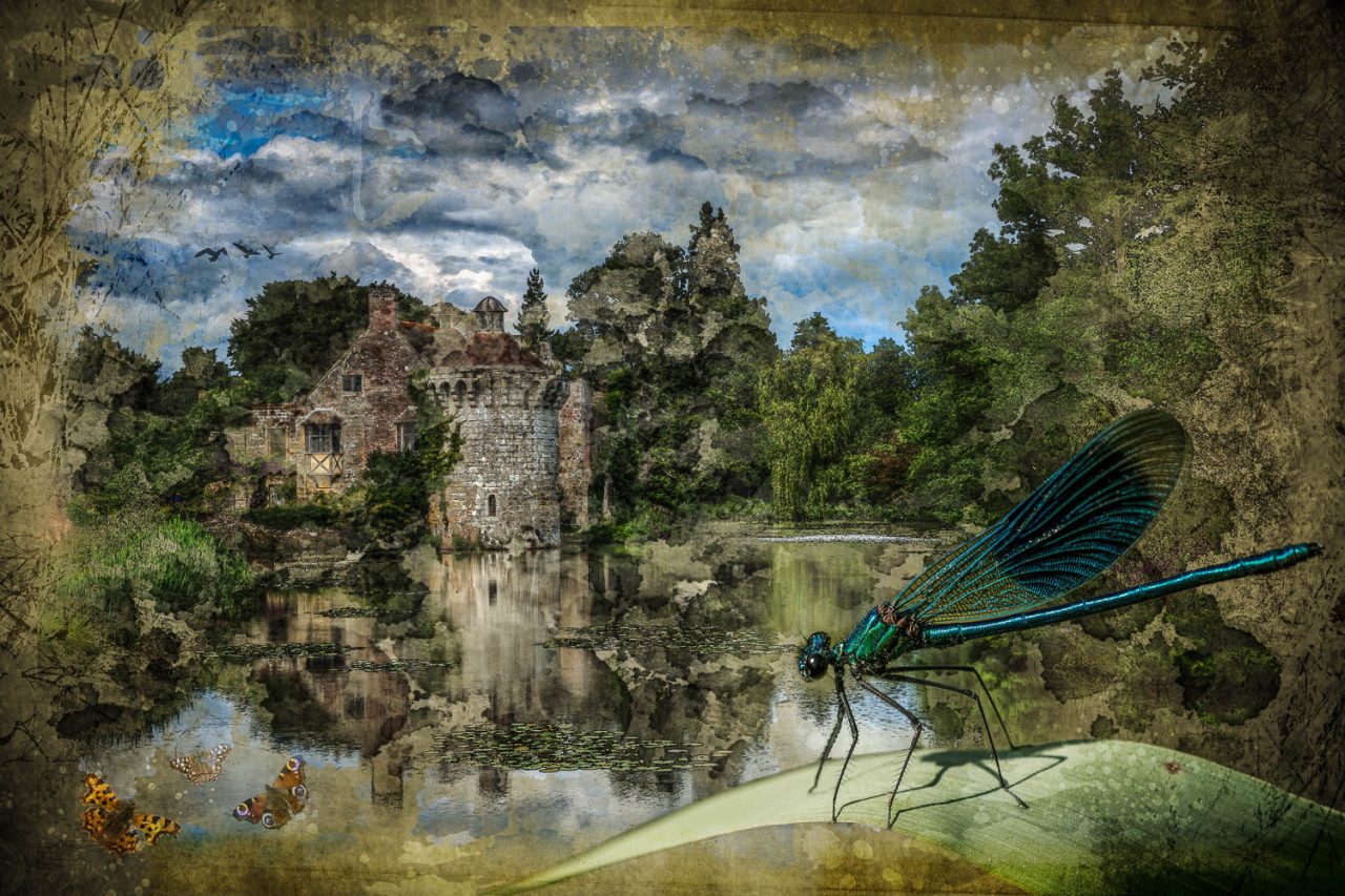I scarcely call these things our own - Scotney Castle in Kent and a Banded Demoiselle Damselfly