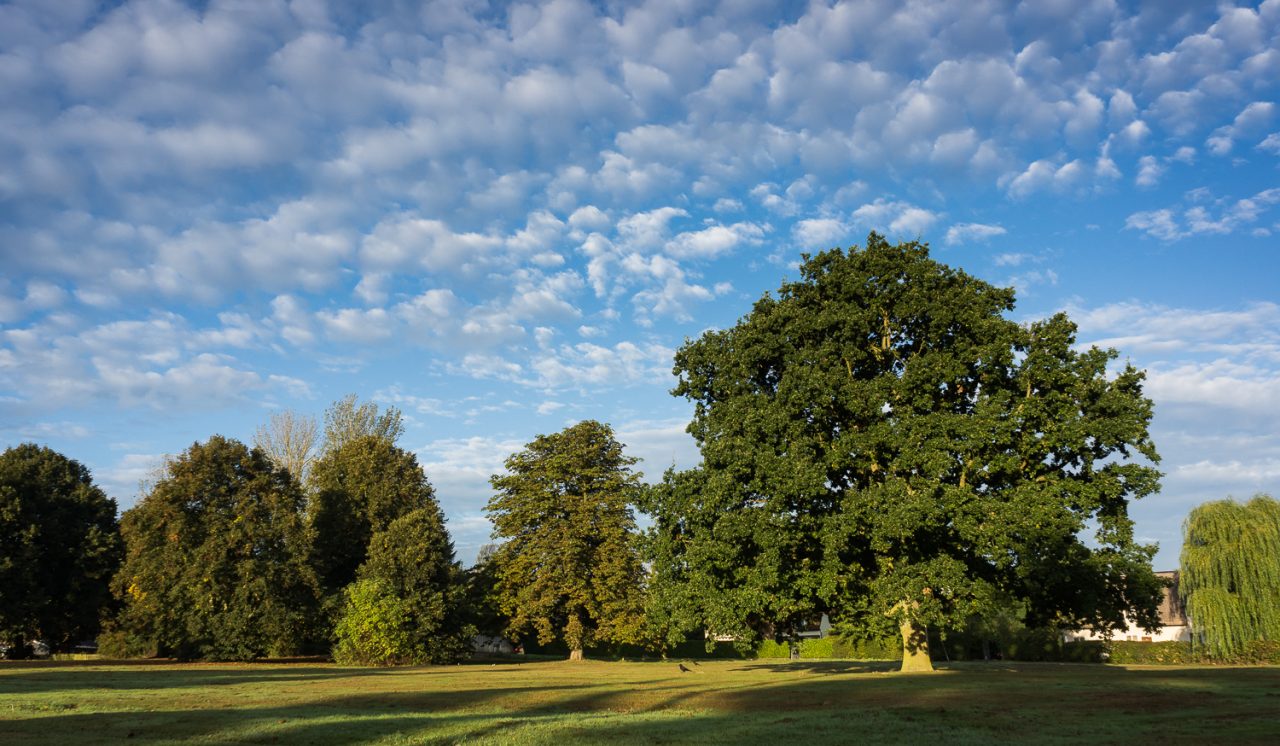 Mackerel Sky, Parsonage Downs, Dunmow