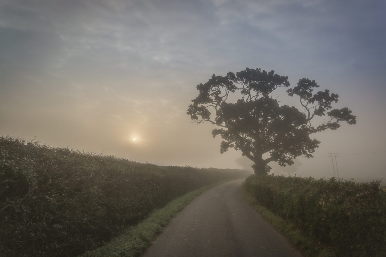 A Murky Start