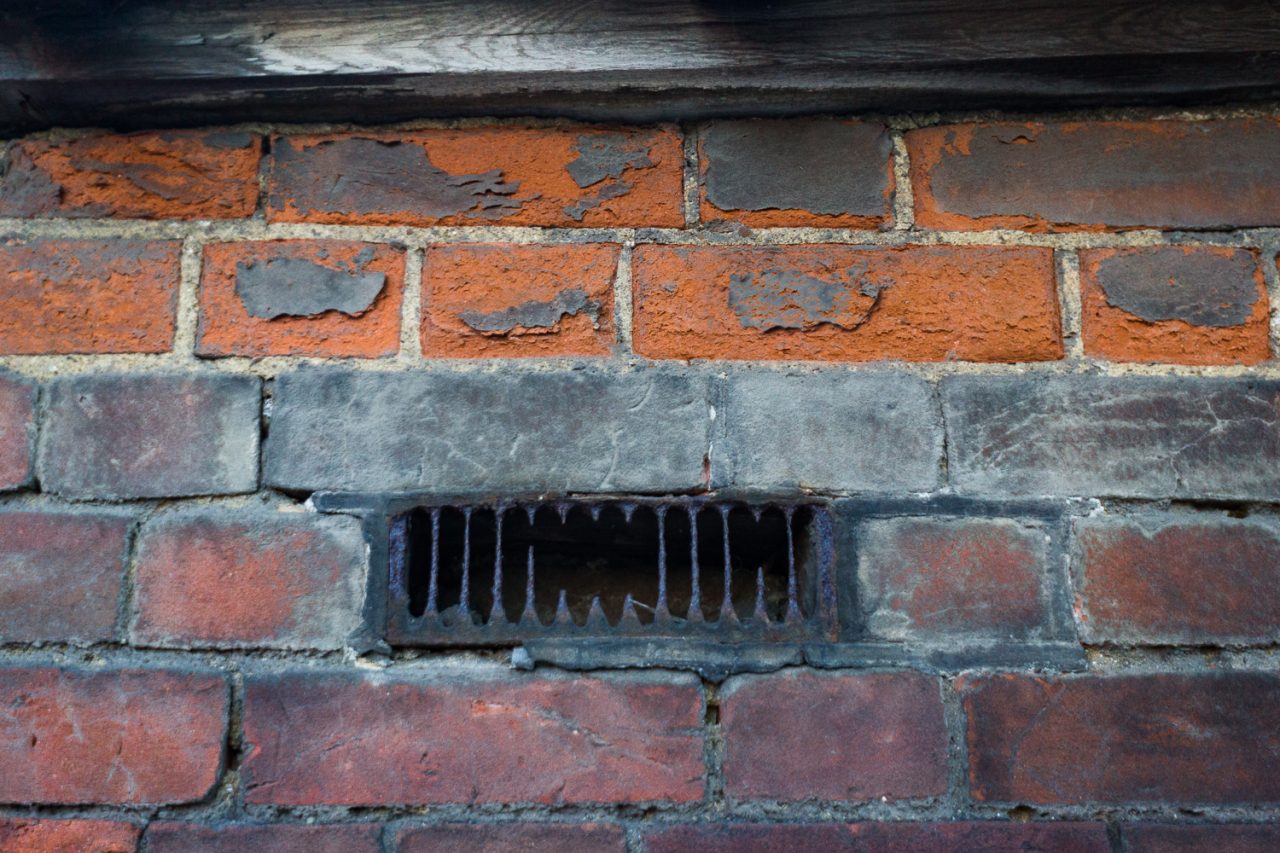 This Wall Bites