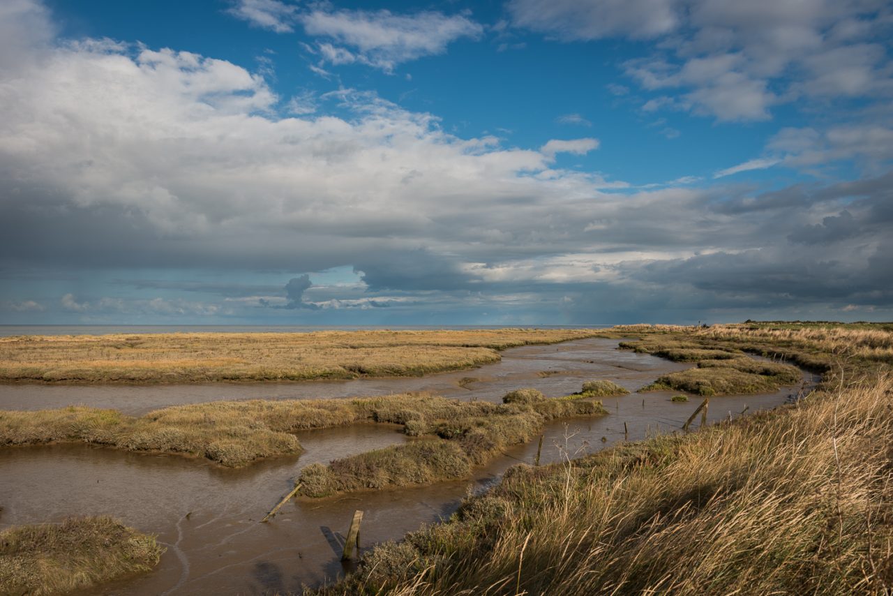 The Naze