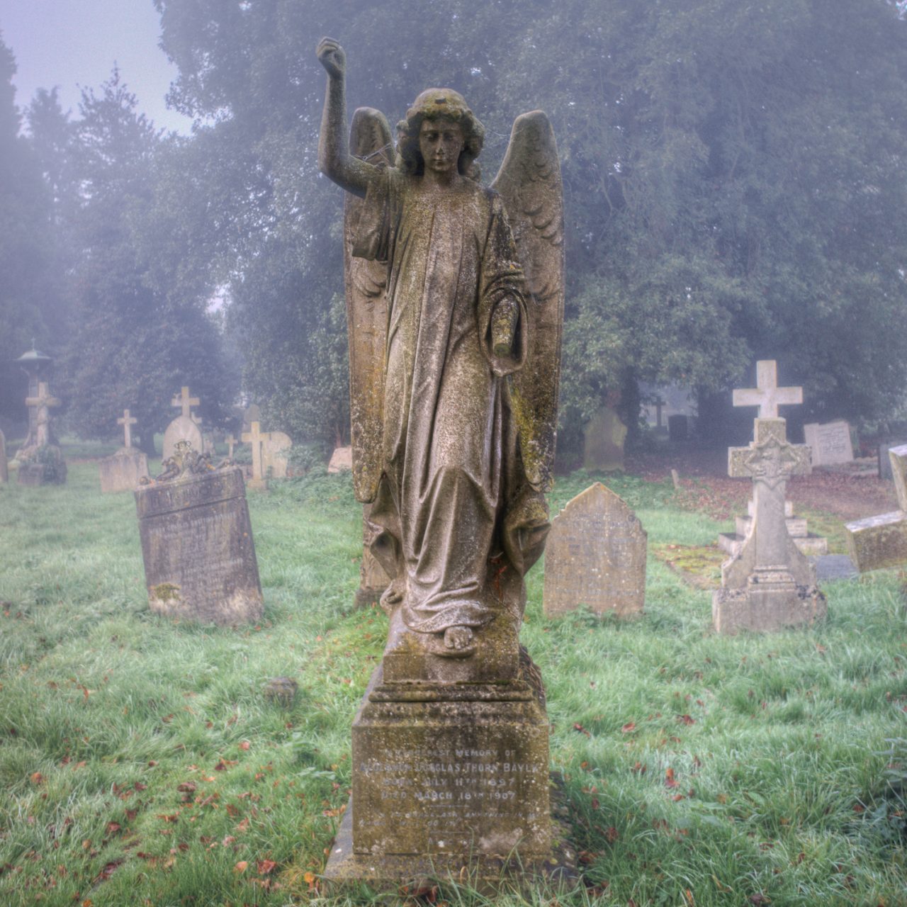 Coming At Me Out of the Fog