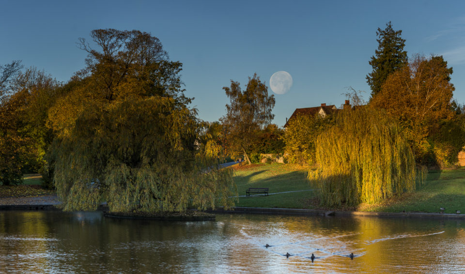 A Day Late and a Dollar Short.