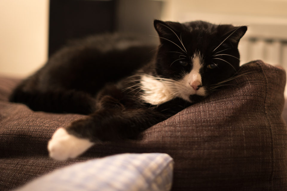 It's Exhausting Being Me