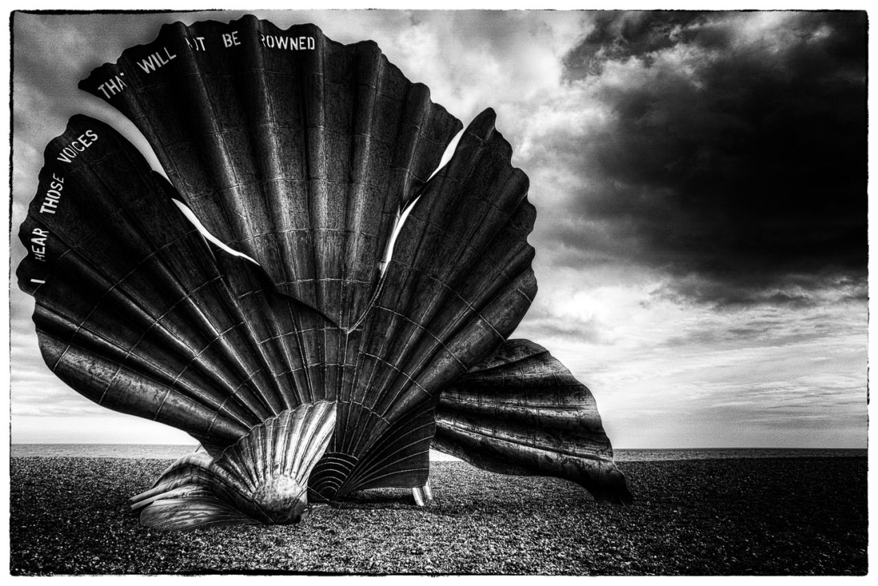 The Scallop