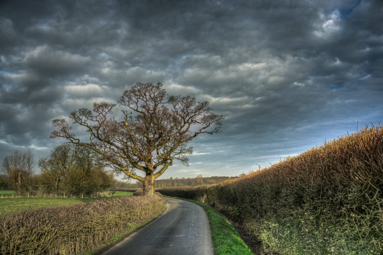 Stormy Clouds Await