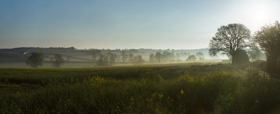 Misty Morning over the Fields