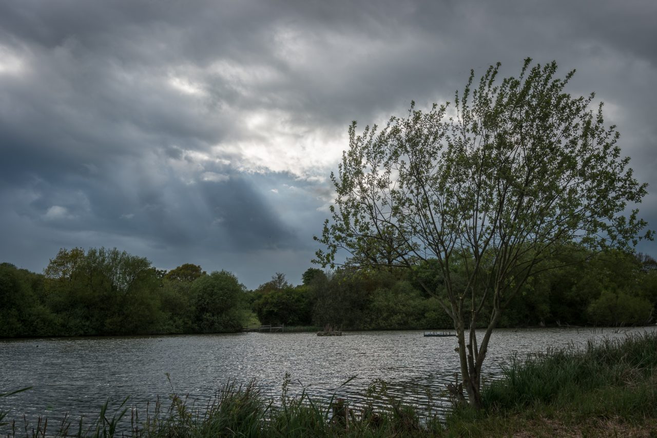 Hatfield Forest Lake