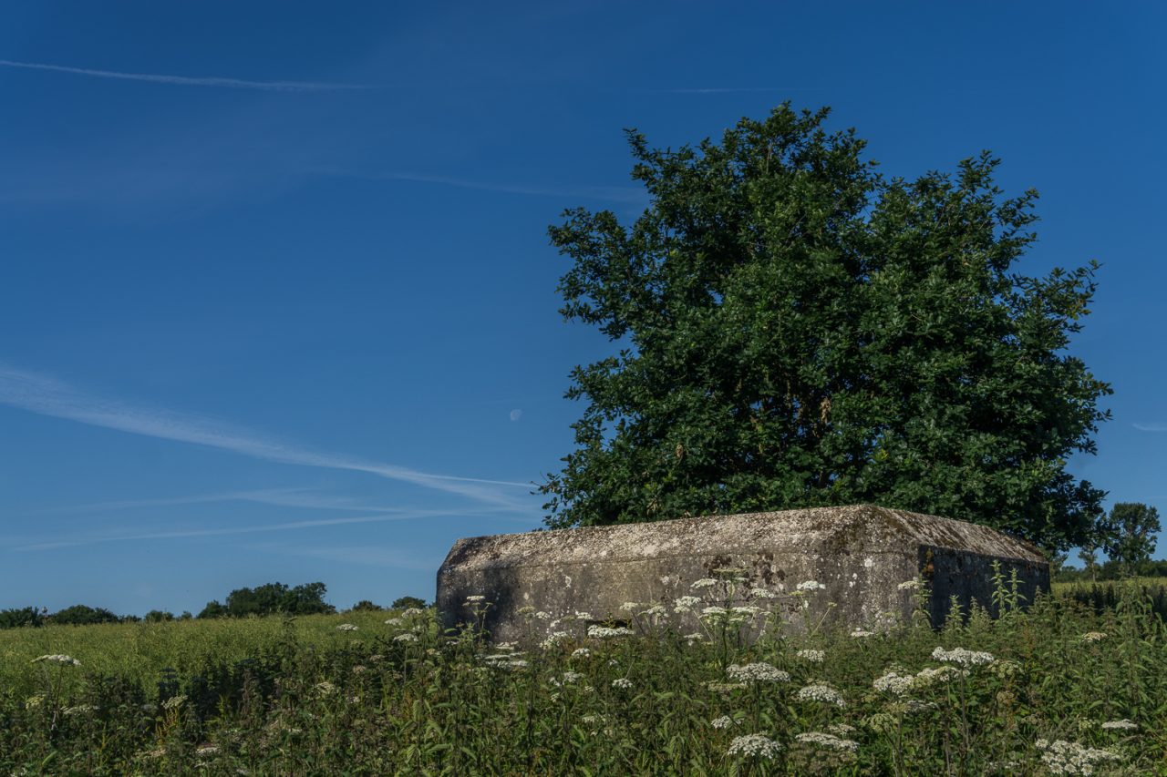 Overgrown Pill Box