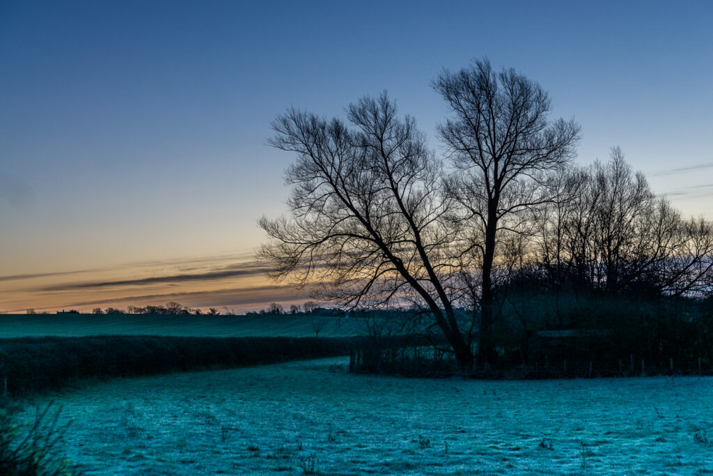 By the River Chelmer