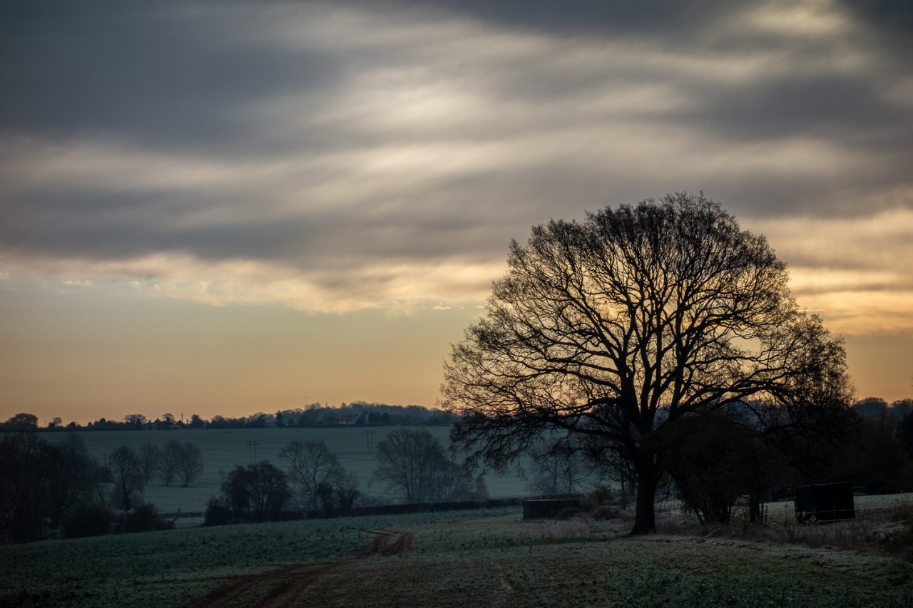 A Chilly Start on Beaumont Hill