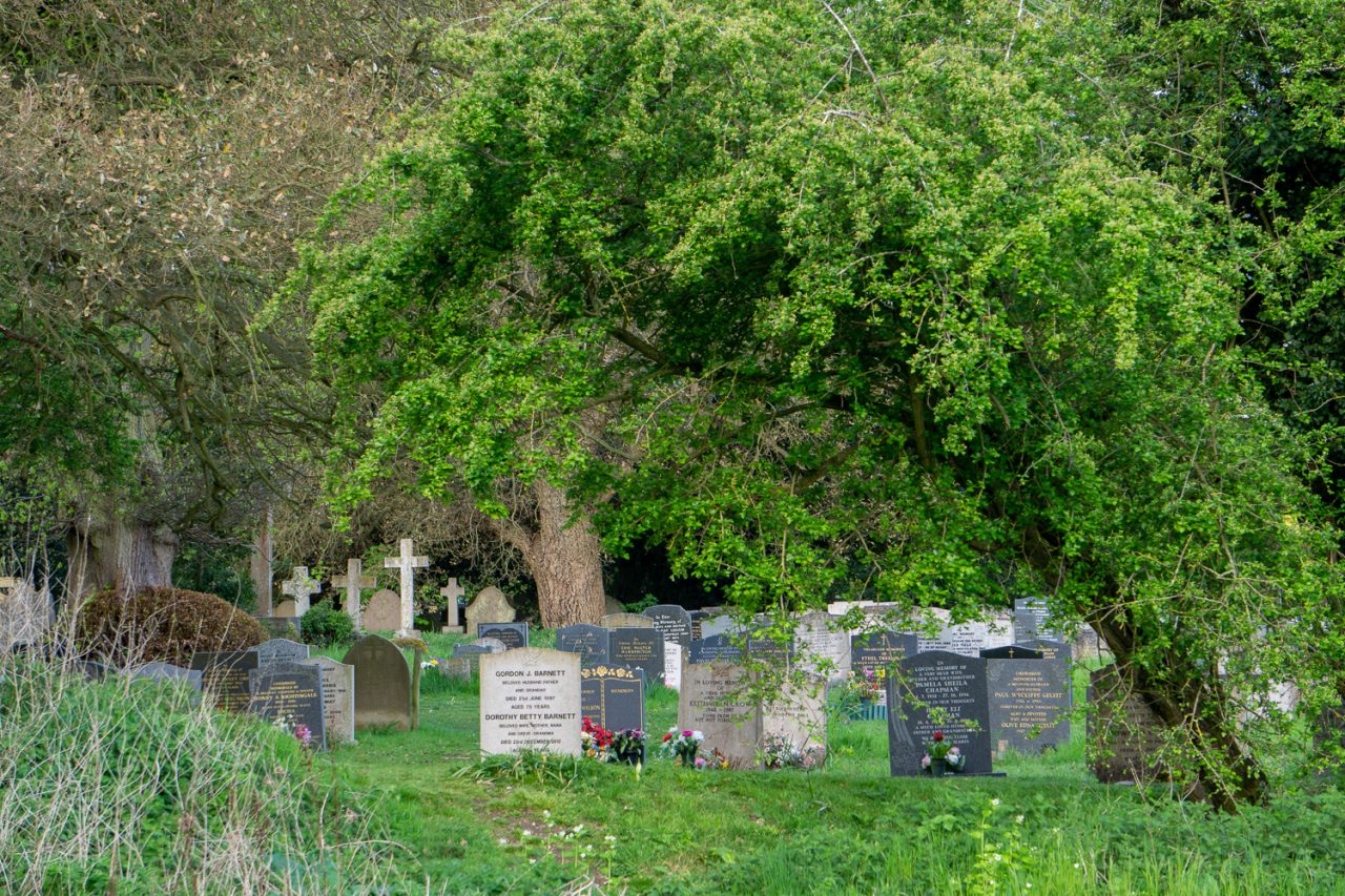 Overarching the Graveyard