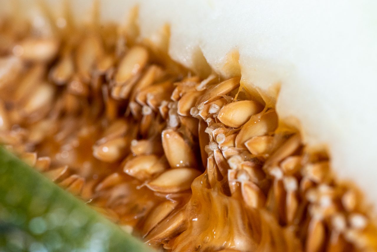 Melons Teeth