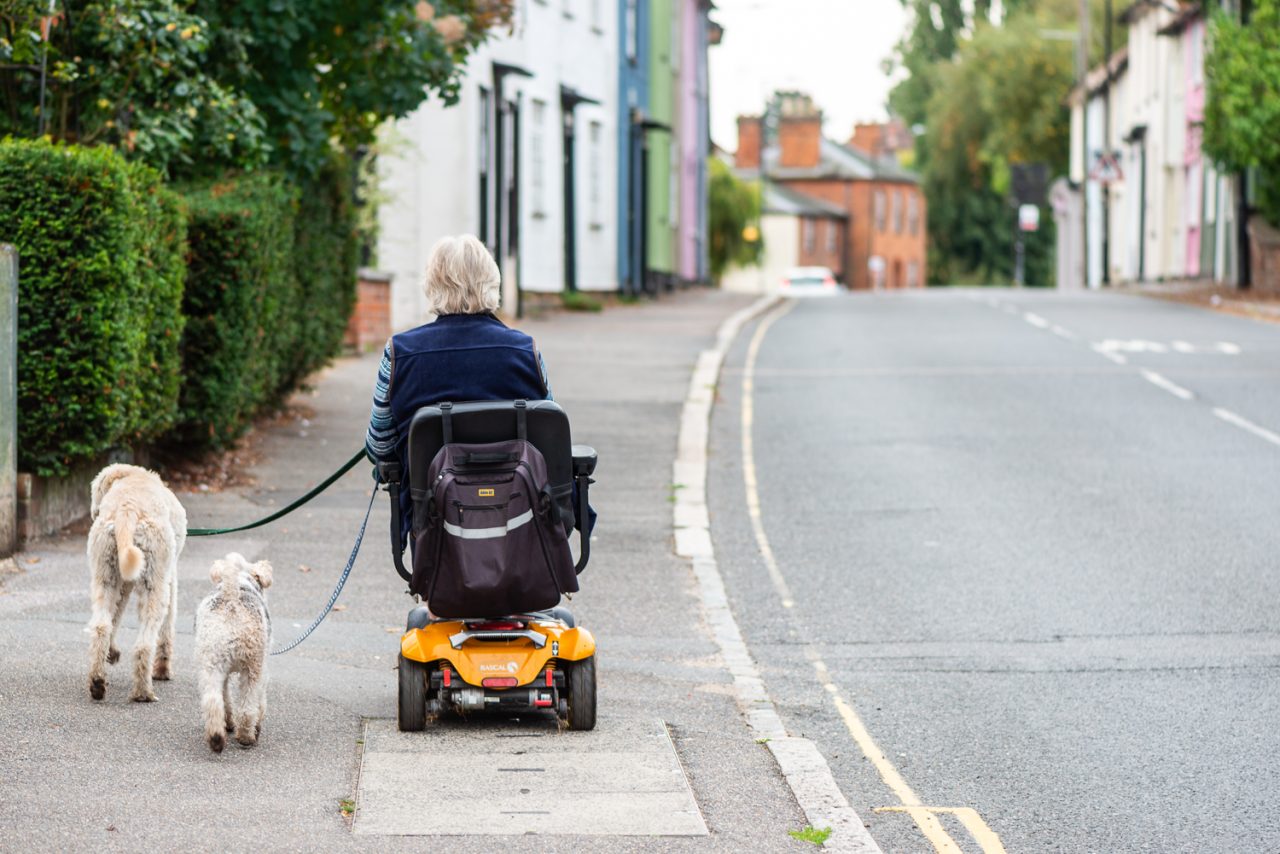 Dog Walking