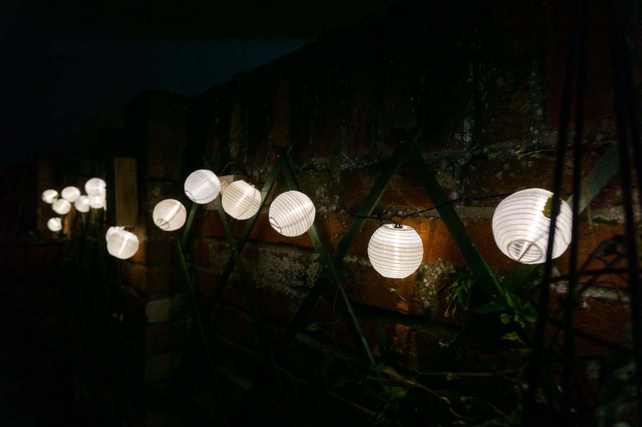 Lighting the Way