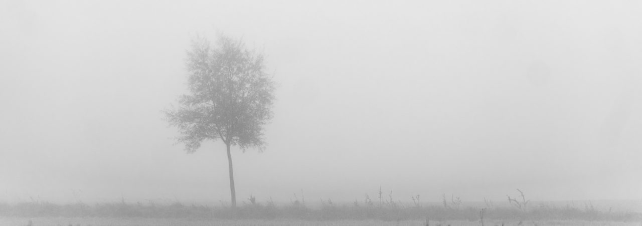 Pea Souper
