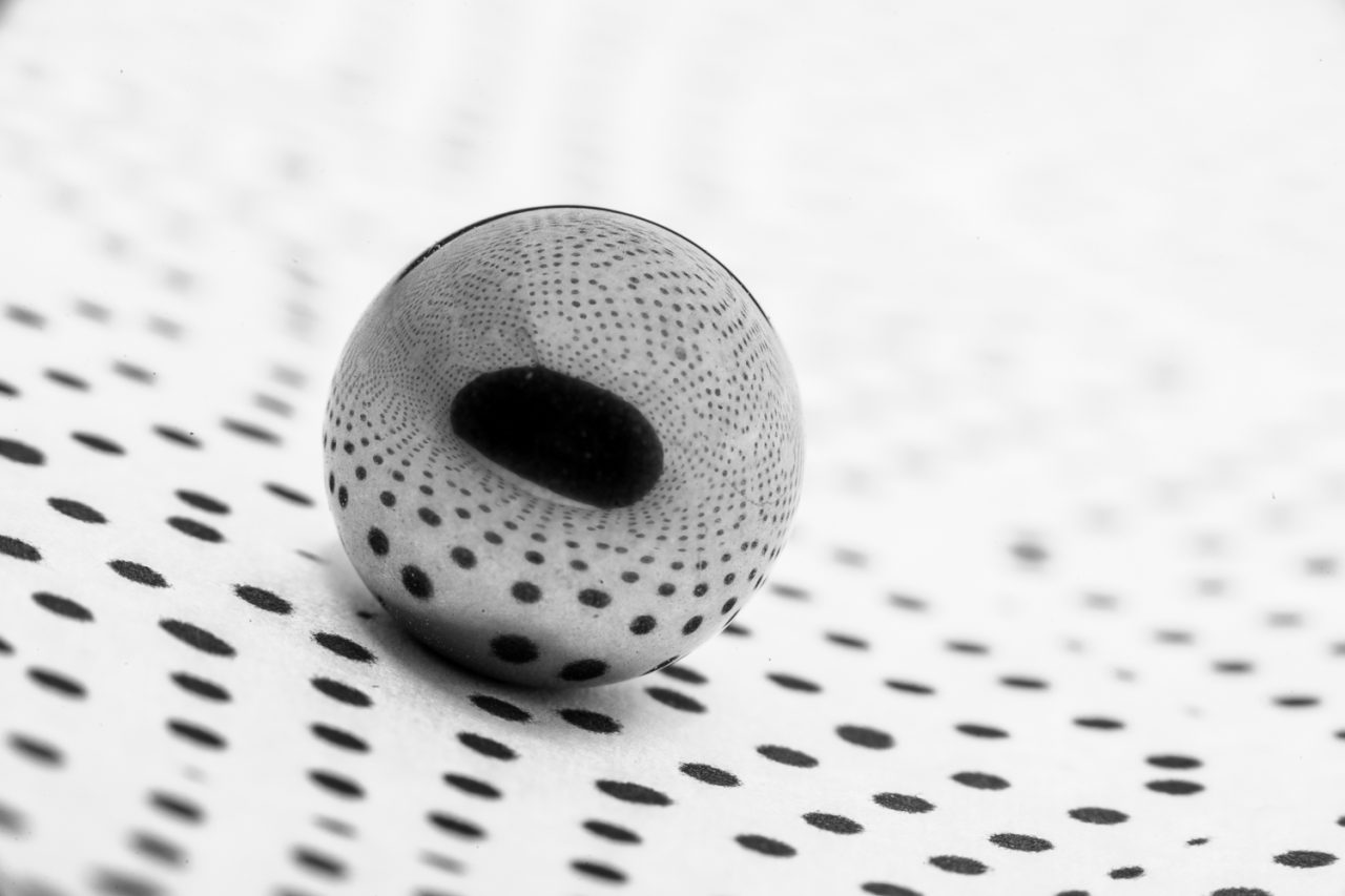 Dotty