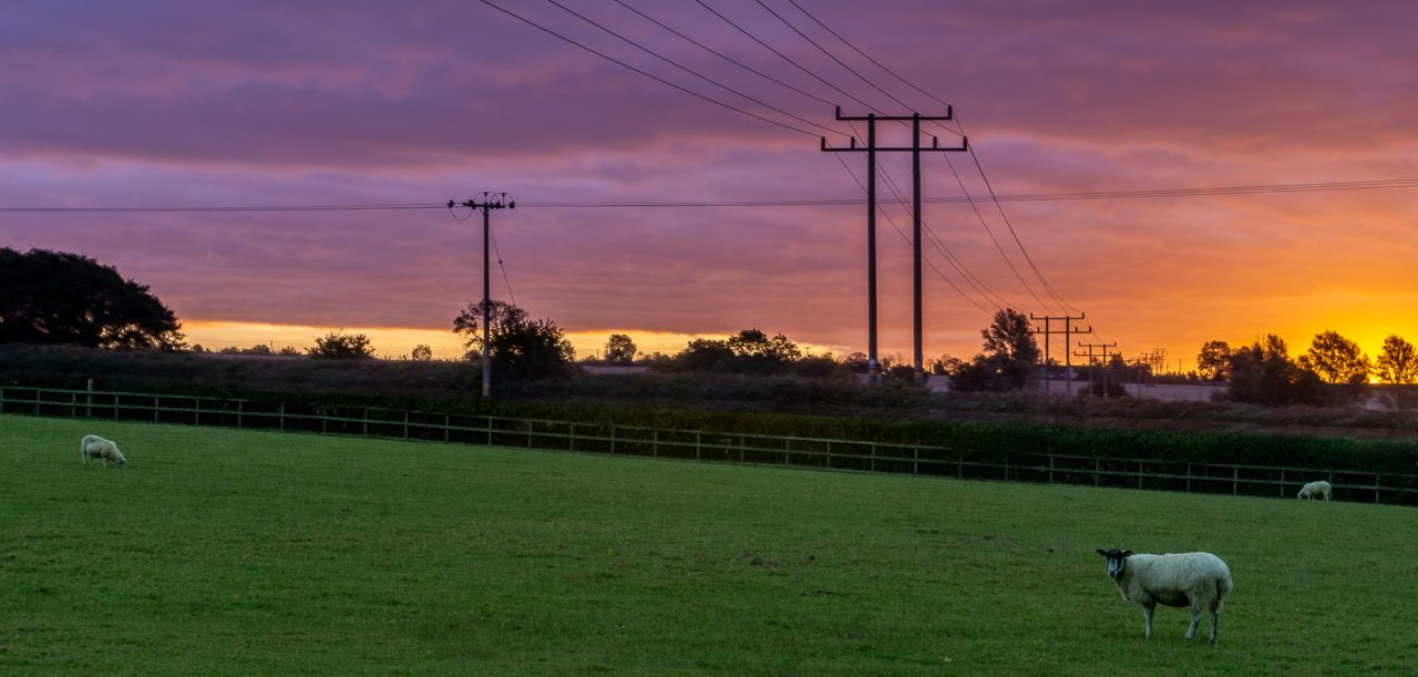 Red Sky in the Morning, Shepherds Warning