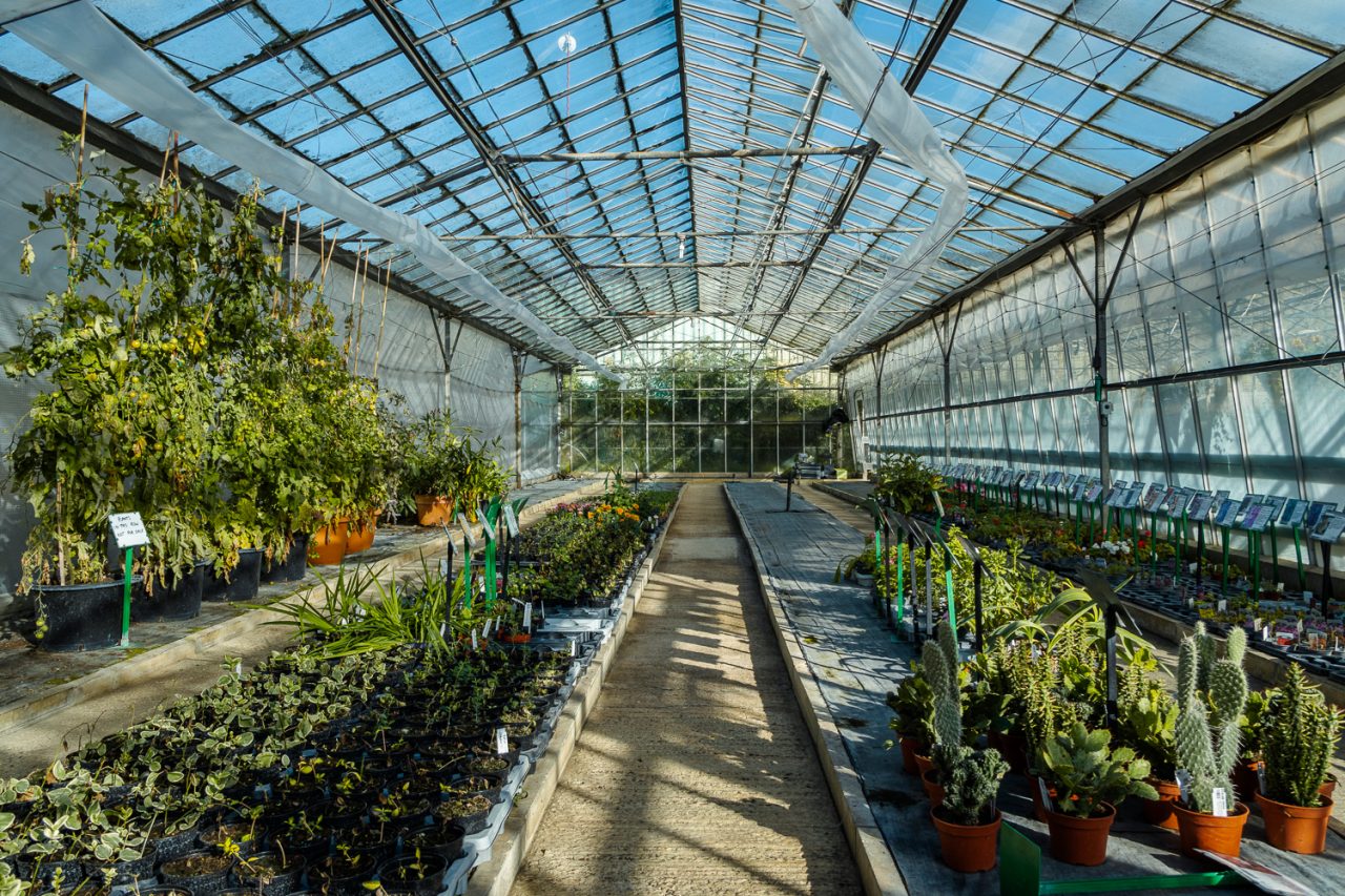 Down the Garden Centre