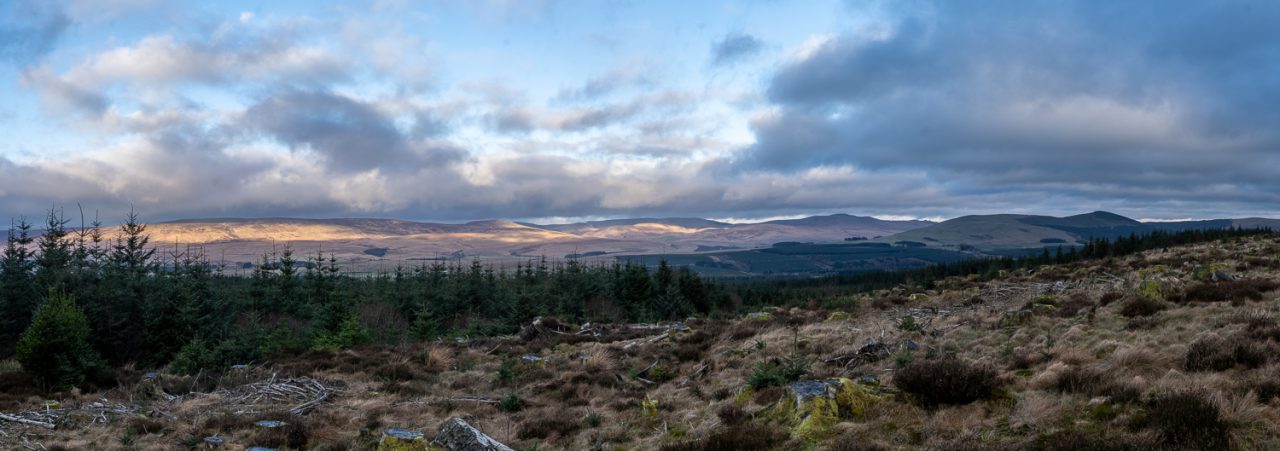 A view of the Scottish Borders outside Newcastleton on the way to Jedburgh