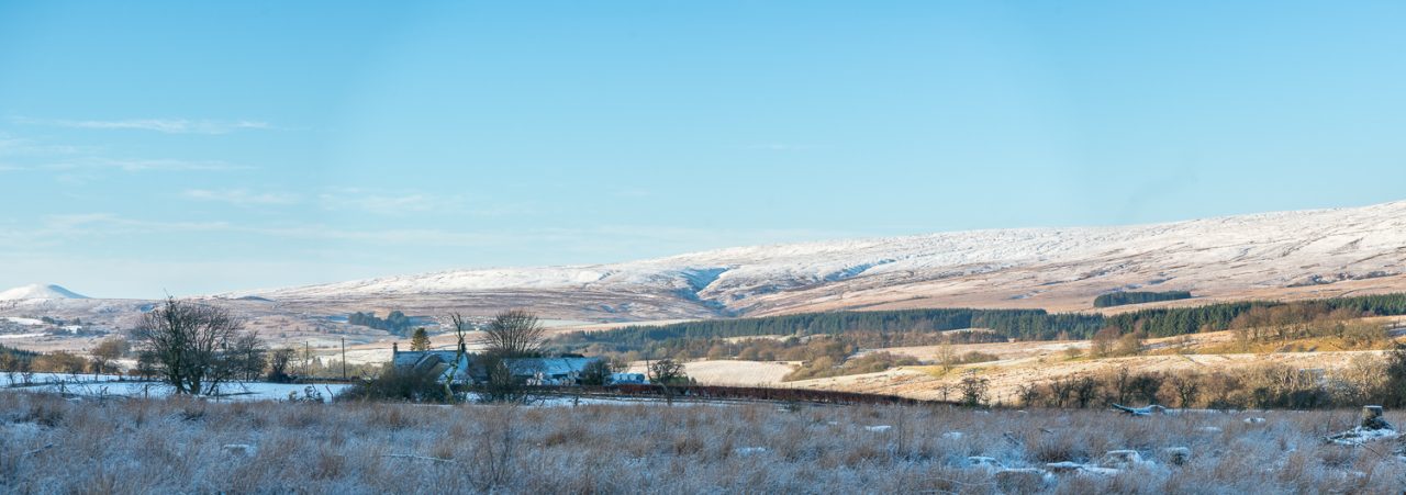 6 x 17 pano