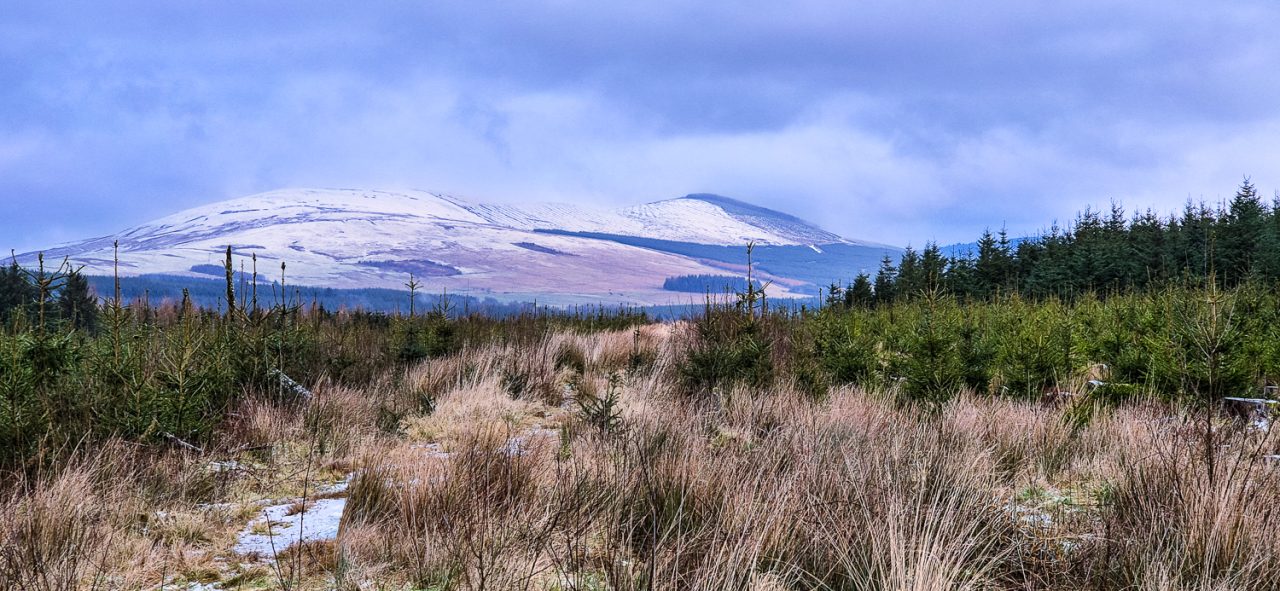 Snow Capped Hills