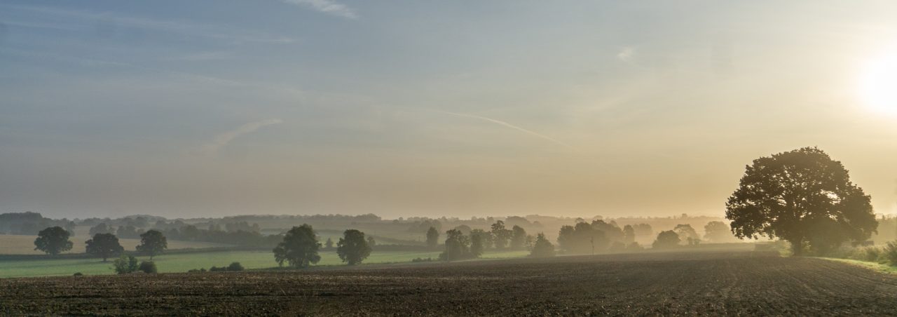 Mist over the Dunmow Countryside