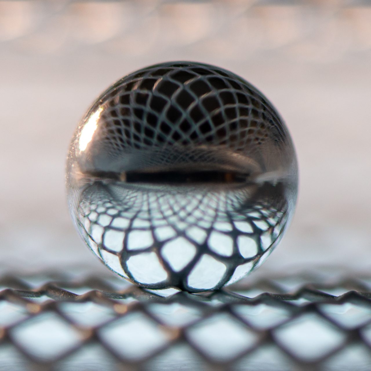 Trapped Inside