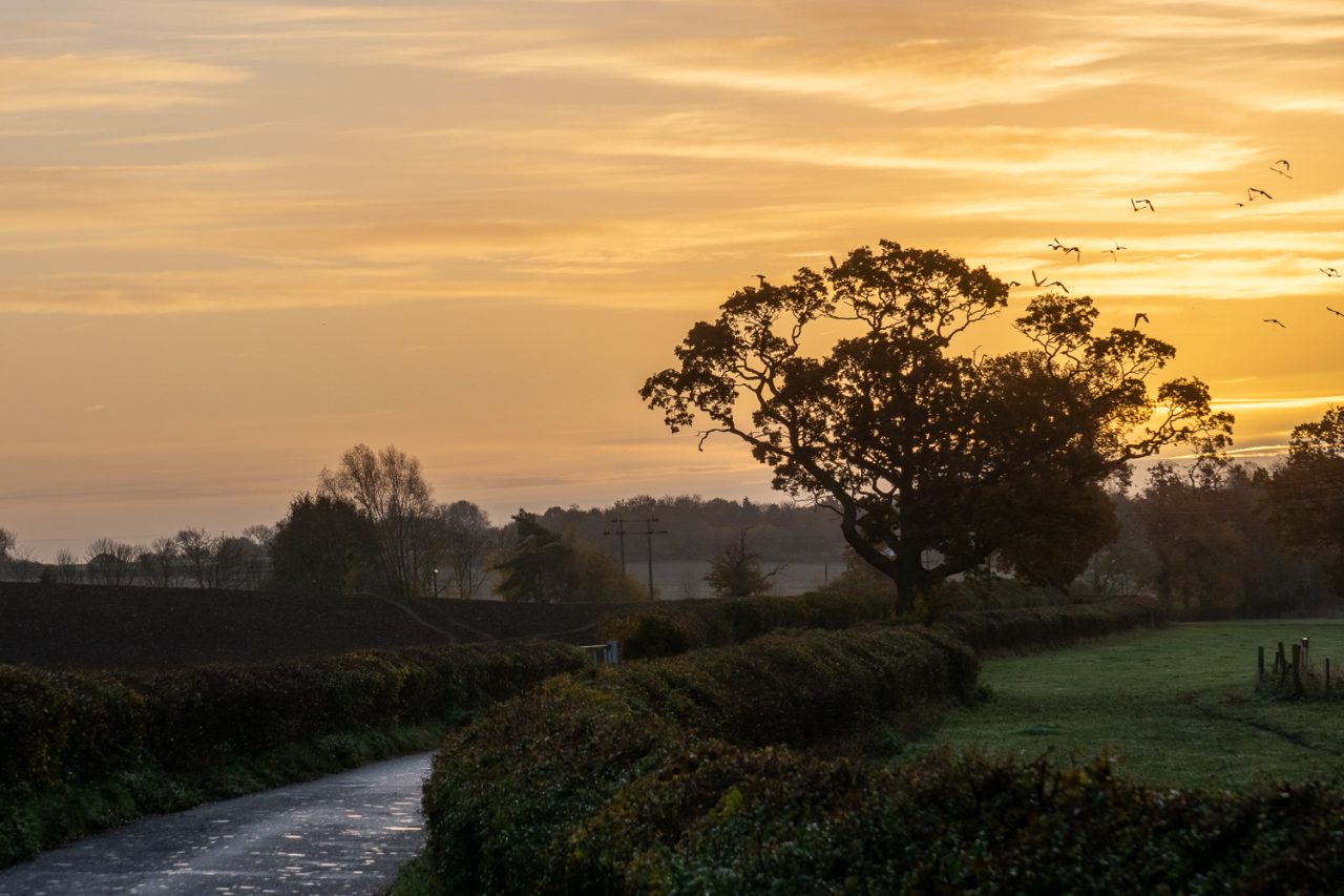 Down The Lane 2