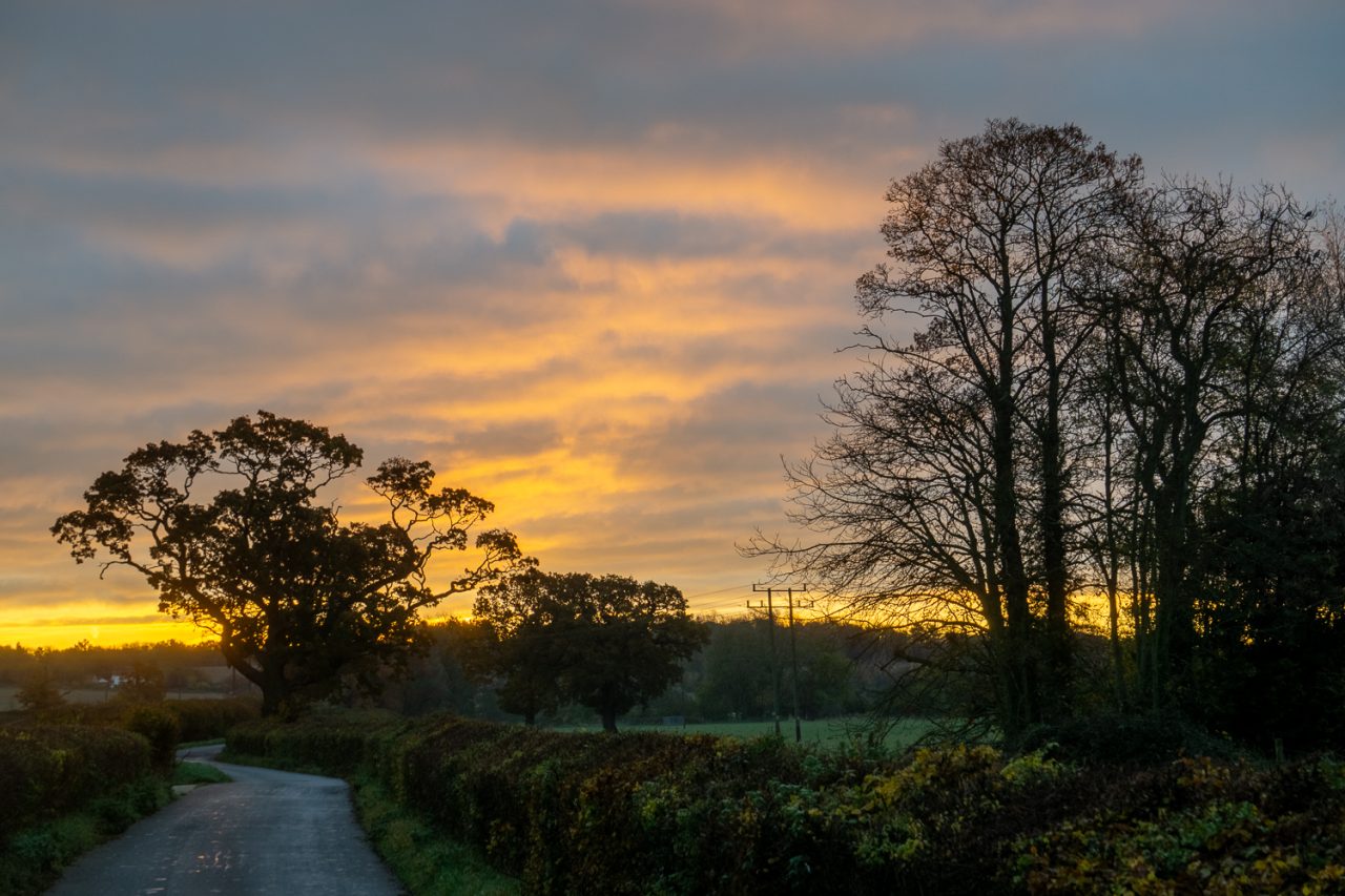 Down The Lane 3