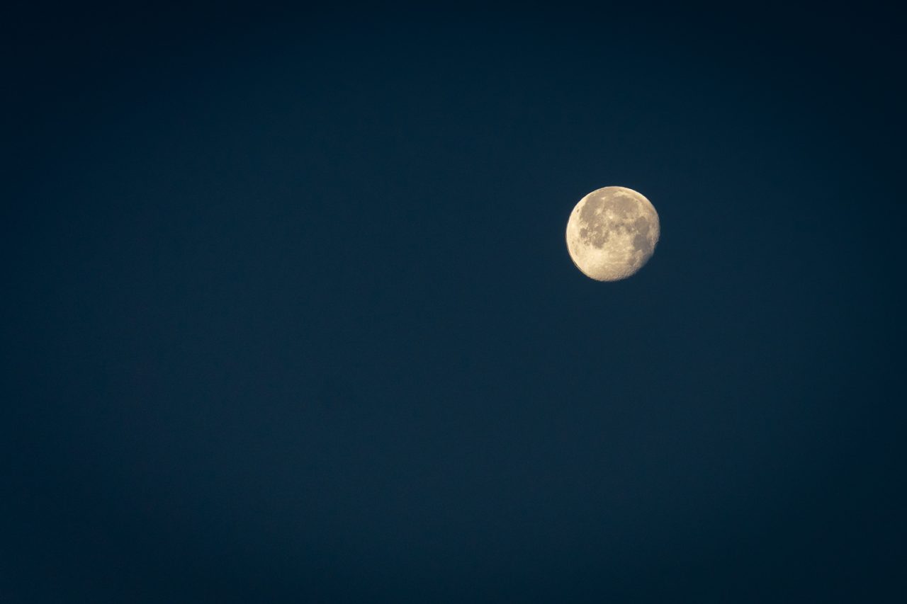 Early Morning Moon 2