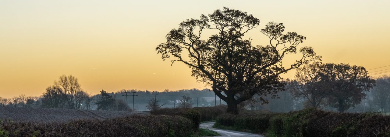 Down The Lane 4