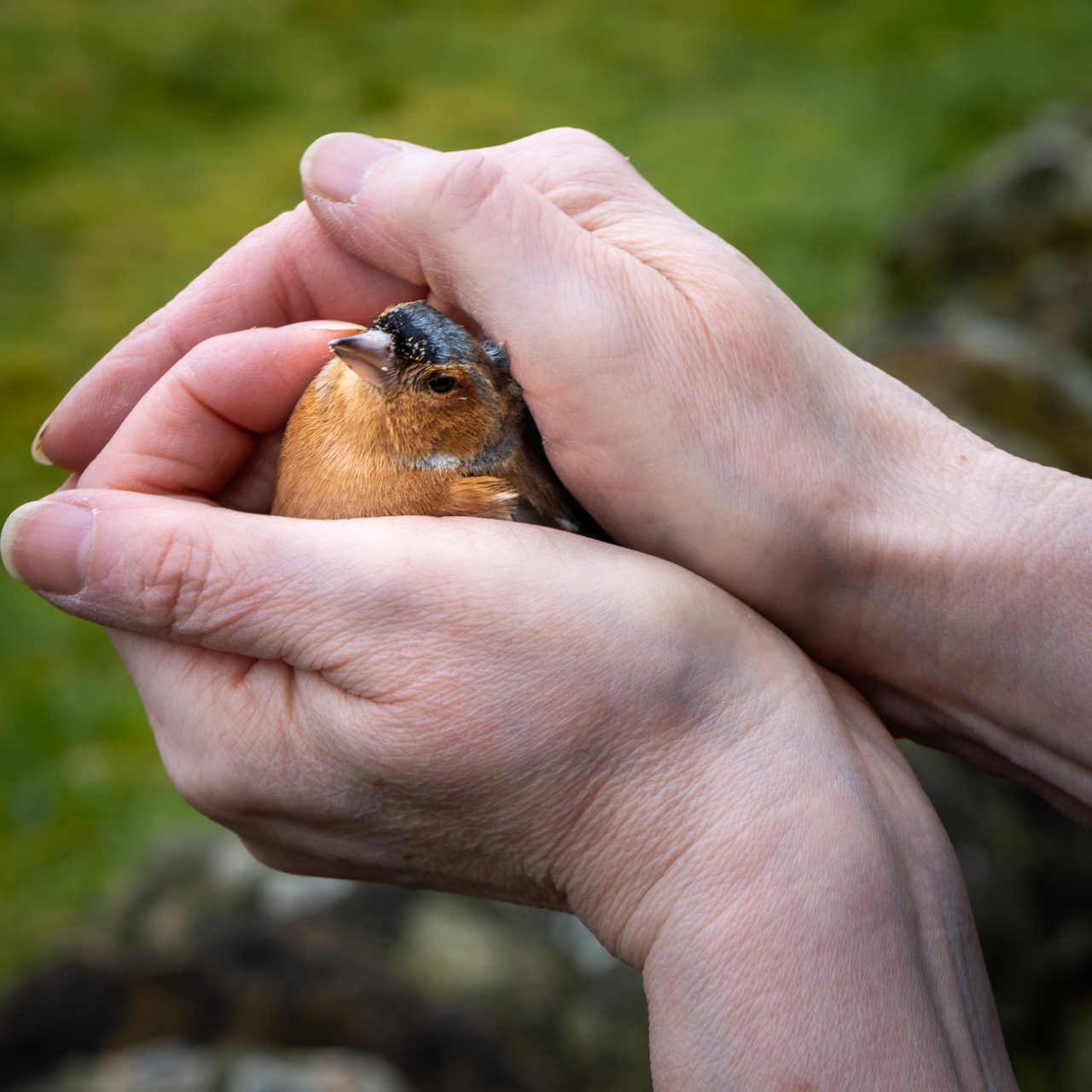 059-365v5 – Love — photograph by Mark Seton