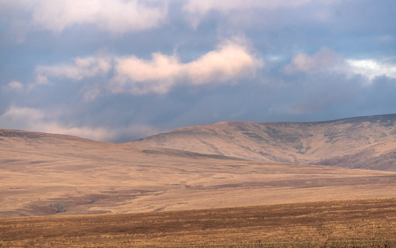 Abstract Landscape