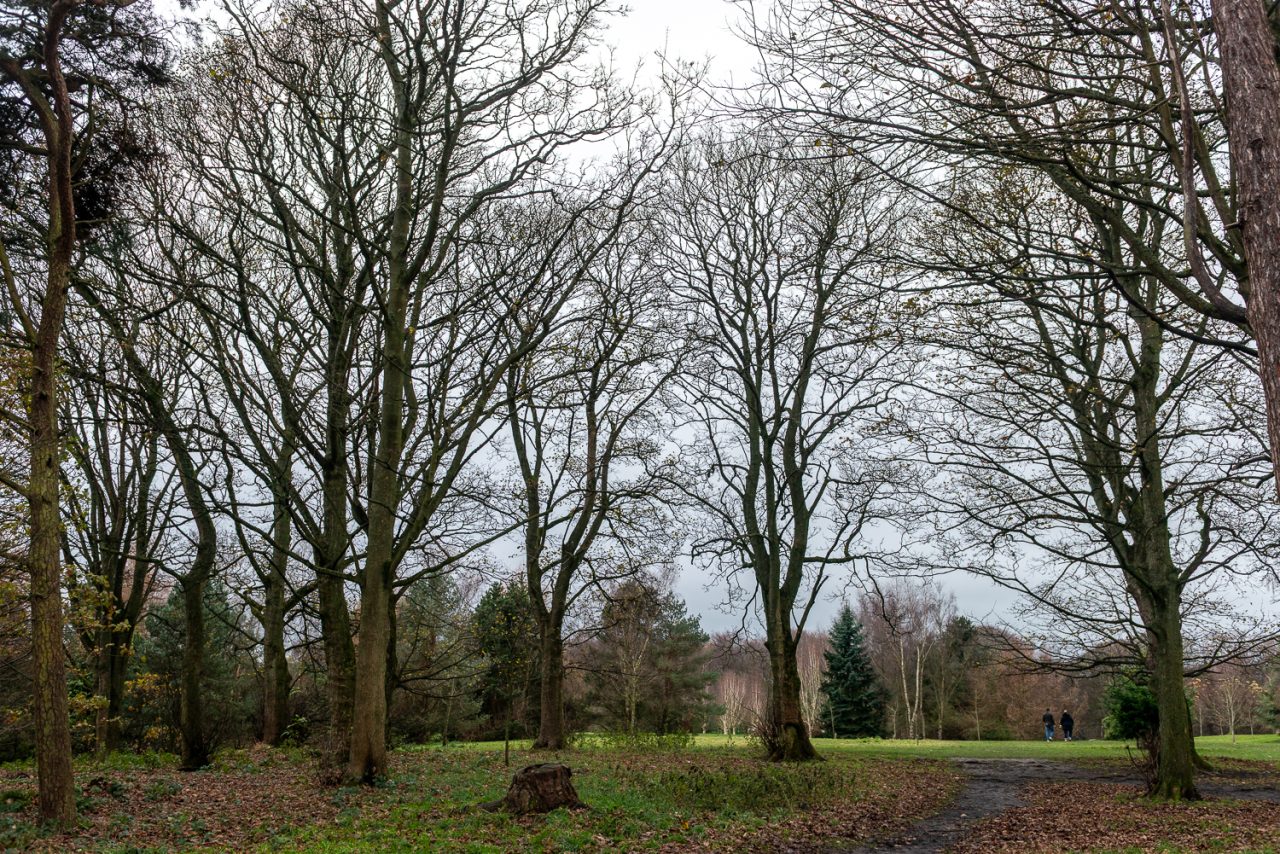 Golden Acre Park, Leeds
