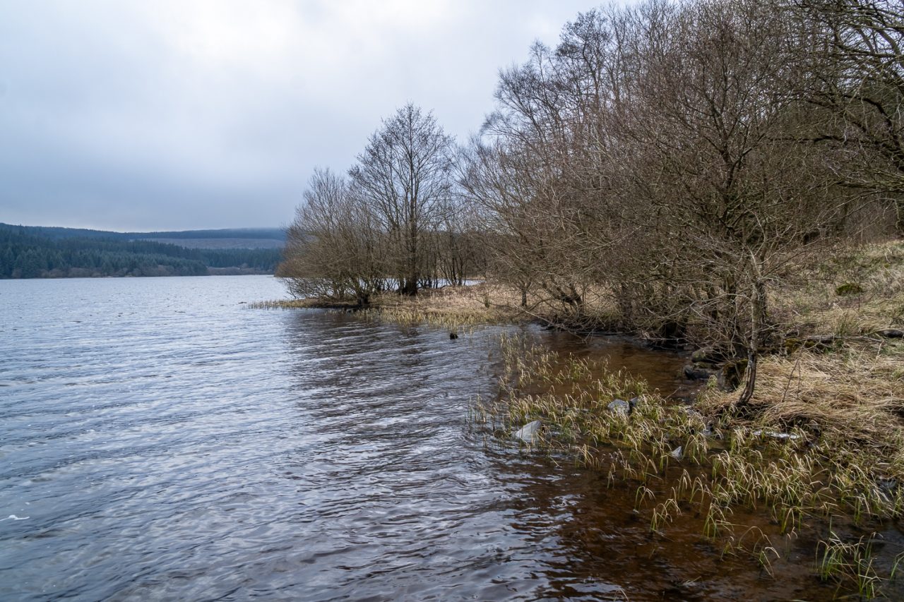 Kielder Water