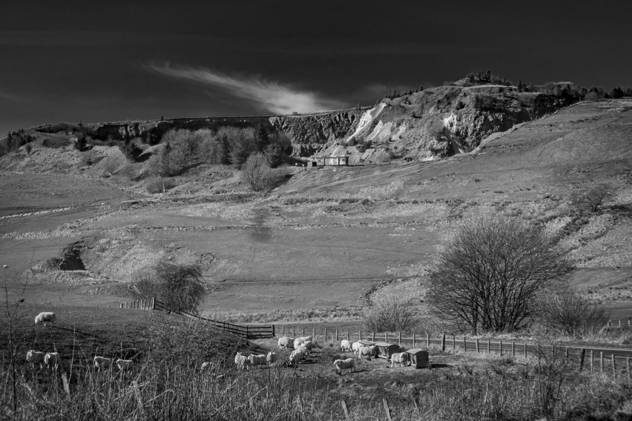 079-365v5 Sheep and the Quarry — photograph by Mark Seton