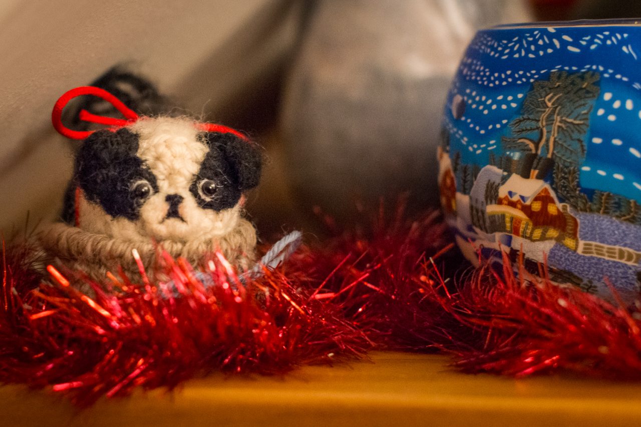 Christmas Pug
